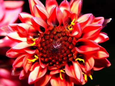 Fiery